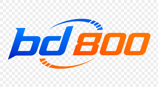 BD 800 Logo